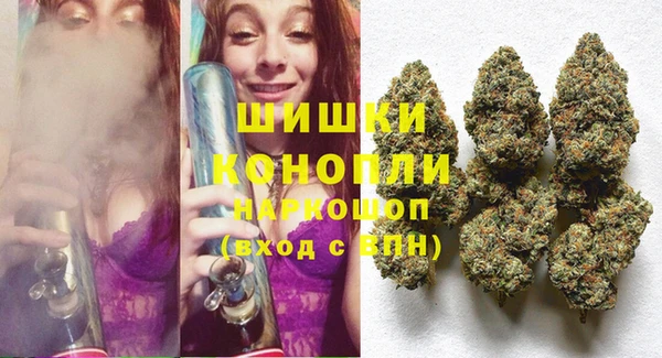 гашик Гусь-Хрустальный