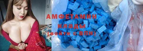 гашик Гусь-Хрустальный