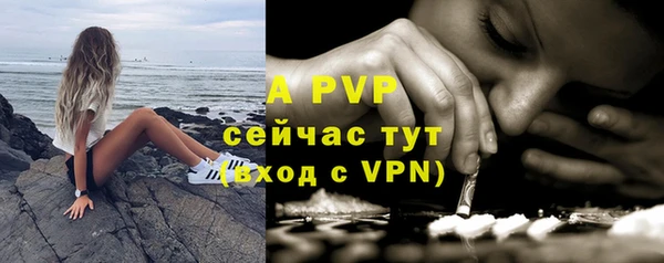 apvp Гусиноозёрск