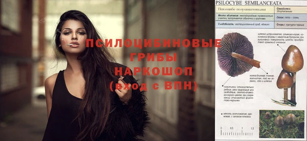 apvp Гусиноозёрск