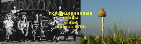 apvp Гусиноозёрск