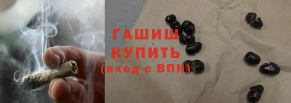 гашик Гусь-Хрустальный