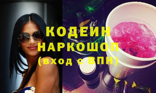 гашик Гусь-Хрустальный