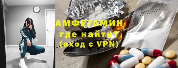 гашик Гусь-Хрустальный