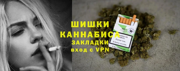 гашик Гусь-Хрустальный
